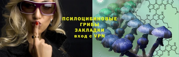 гидра Бронницы