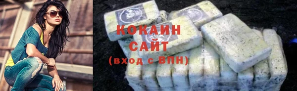 гидра Бронницы