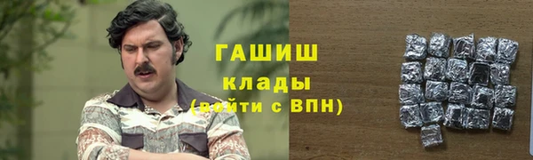 гидра Бронницы