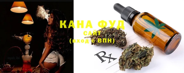 гидра Бронницы