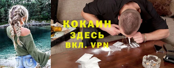 гидра Бронницы