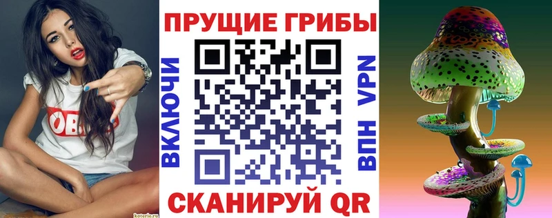 Галлюциногенные грибы Magic Shrooms  Купить закладки  Каргат 