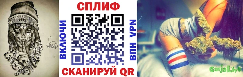 Канабис план  Купить закладки  Каргат 